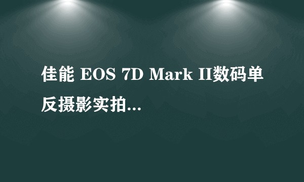 佳能 EOS 7D Mark II数码单反摄影实拍技法宝典
