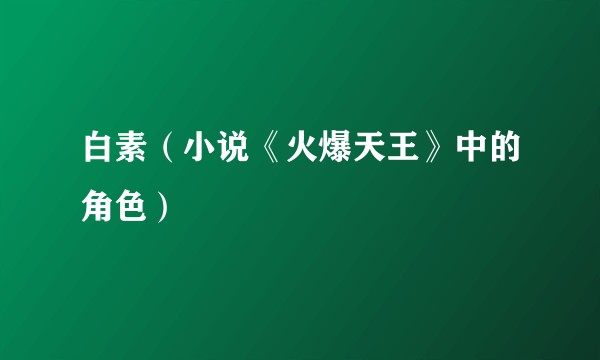 白素（小说《火爆天王》中的角色）