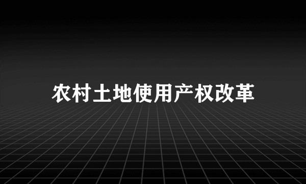 农村土地使用产权改革