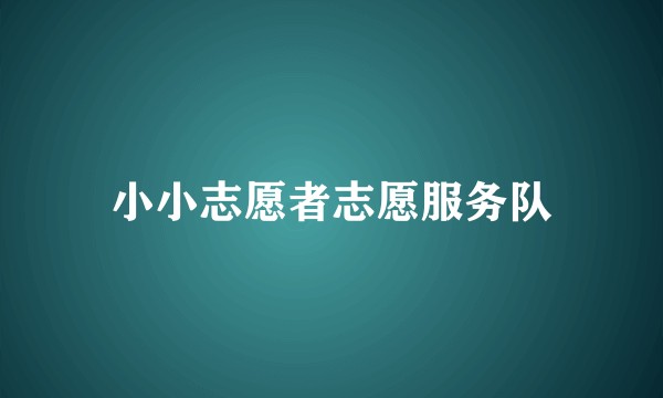 小小志愿者志愿服务队