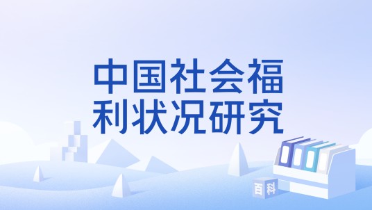 中国社会福利状况研究