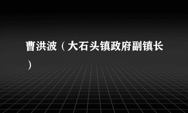 曹洪波（大石头镇政府副镇长）