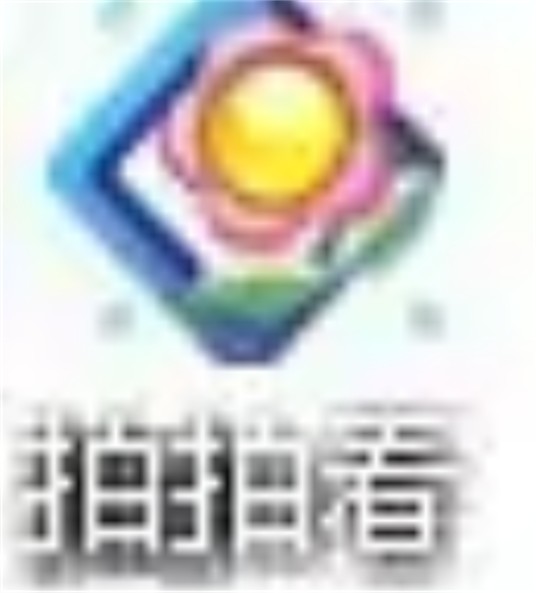 拍拍看