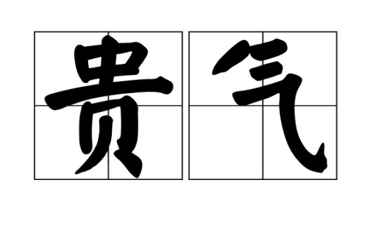 贵气