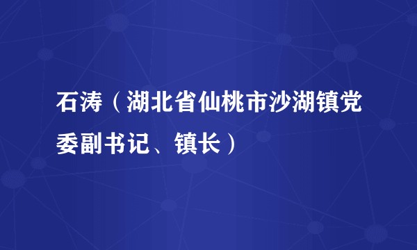 石涛（湖北省仙桃市沙湖镇党委副书记、镇长）