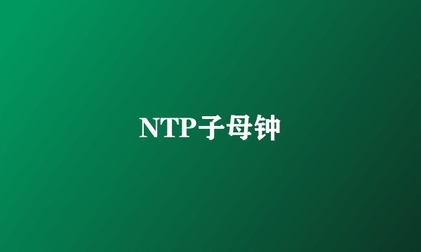 NTP子母钟