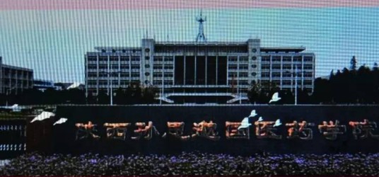 陕西孙思邈国医药专修学院