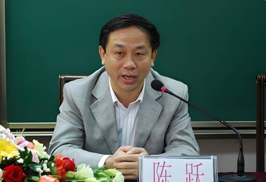 陈跃（西南大学教授）