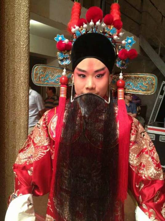 刘小源(京剧影视演员)