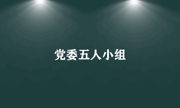 党委五人小组