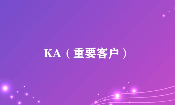 KA（重要客户）