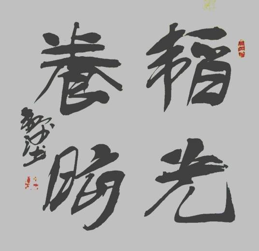 韬光养晦（汉语成语）