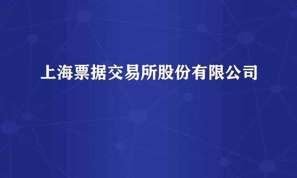 上海票据交易所股份有限公司