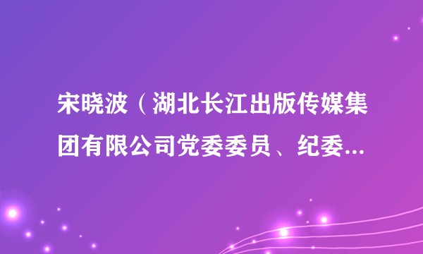宋晓波（湖北长江出版传媒集团有限公司党委委员、纪委书记、监察专员）