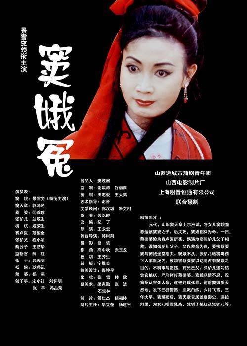 窦娥冤（2020年王永宏执导戏曲电影）