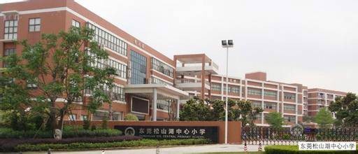 东莞市东莞中学松山湖学校