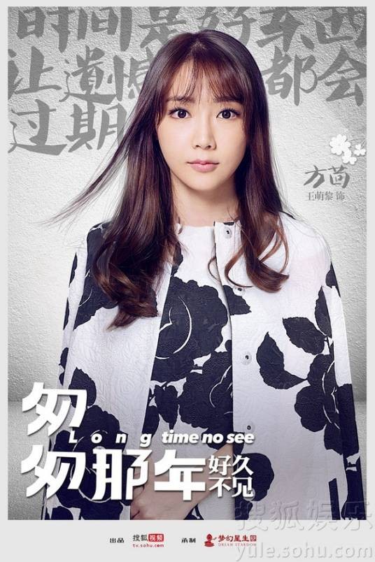方茴(中国网剧《匆匆那年:好久不见》角色)