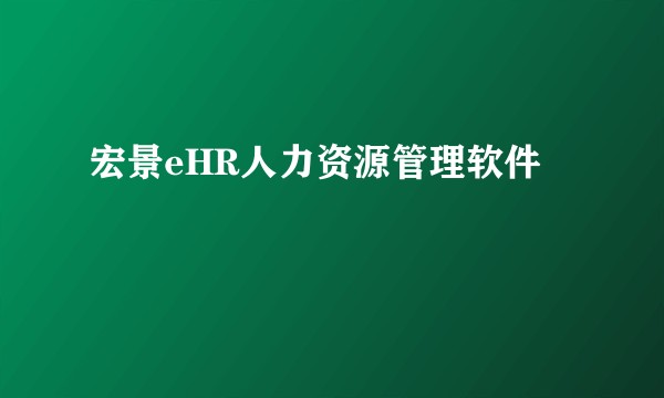宏景eHR人力资源管理软件