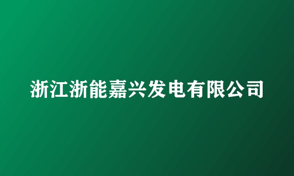 浙江浙能嘉兴发电有限公司