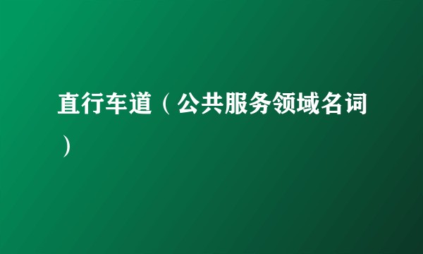 直行车道（公共服务领域名词）
