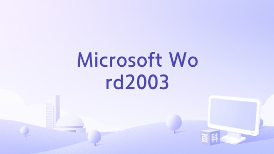 Microsoft Word2003