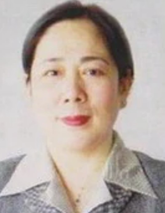 朱红霞(电子商务专家)