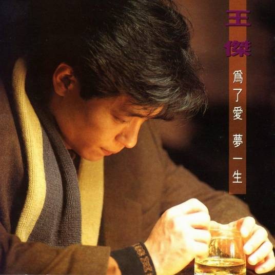 为什么（1991年王杰演唱的歌曲）