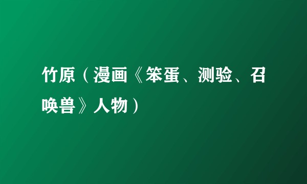 竹原（漫画《笨蛋、测验、召唤兽》人物）