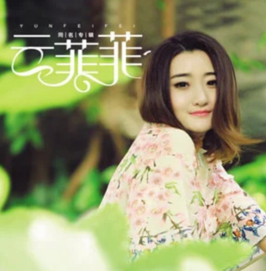 曾经(云菲菲2015年演唱的歌曲)