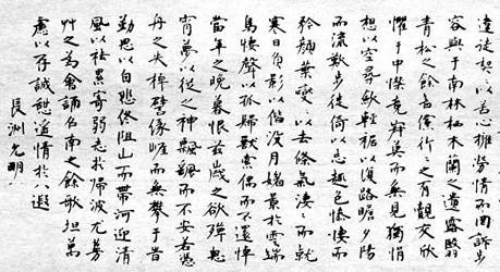 闲情赋