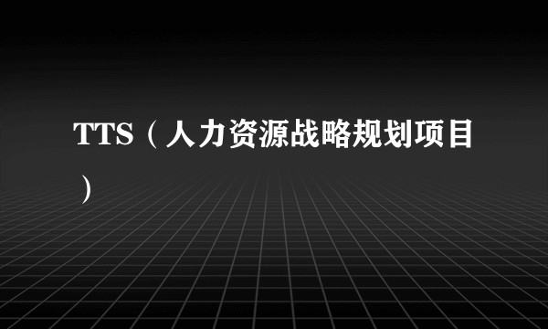 TTS（人力资源战略规划项目）