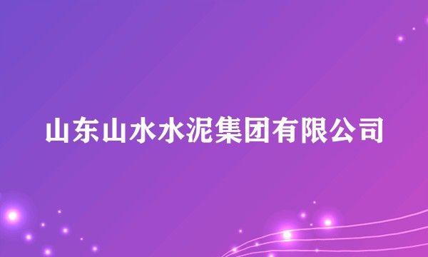 山东山水水泥集团有限公司