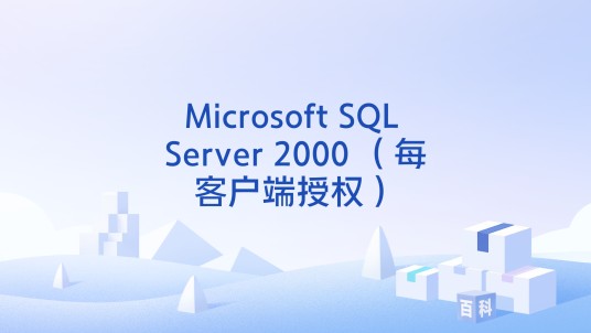 Microsoft SQL Server 2000 （每客户端授权）