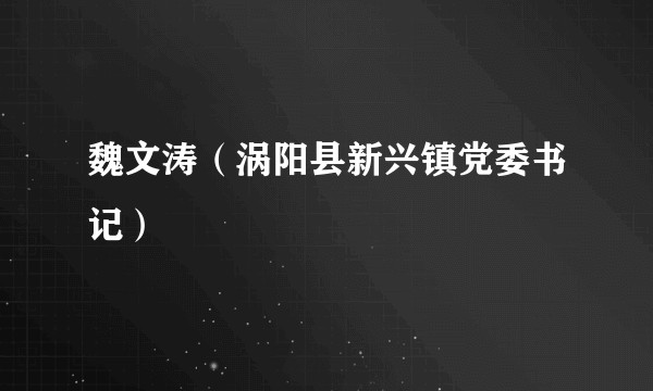 魏文涛（涡阳县新兴镇党委书记）