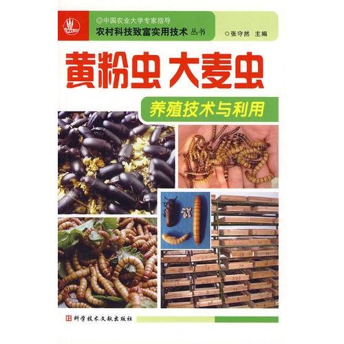 黄粉虫大麦虫养殖技术与利用