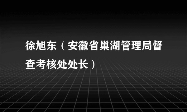 徐旭东（安徽省巢湖管理局督查考核处处长）