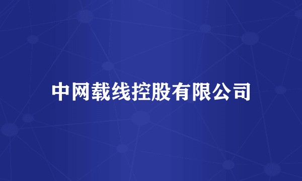 中网载线控股有限公司