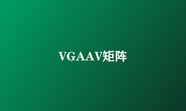 VGAAV矩阵