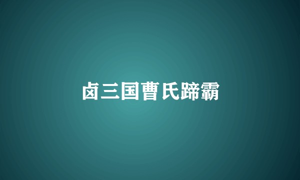 卤三国曹氏蹄霸
