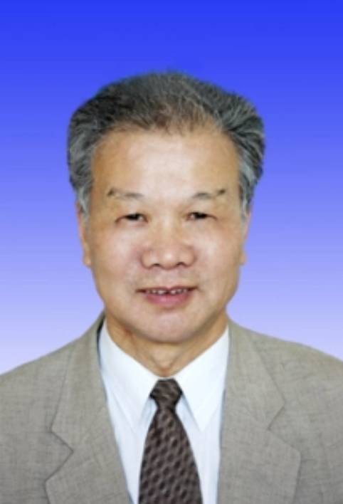 陆瑾（中国抗癌协会小儿肿瘤专业委员会委员）
