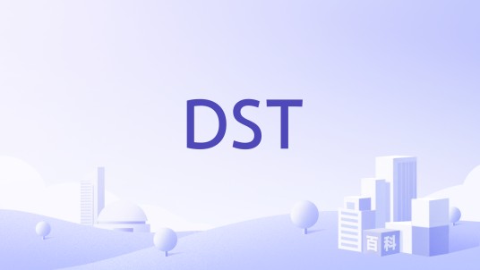 DST（领土监视局）