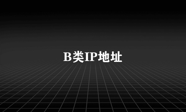 B类IP地址