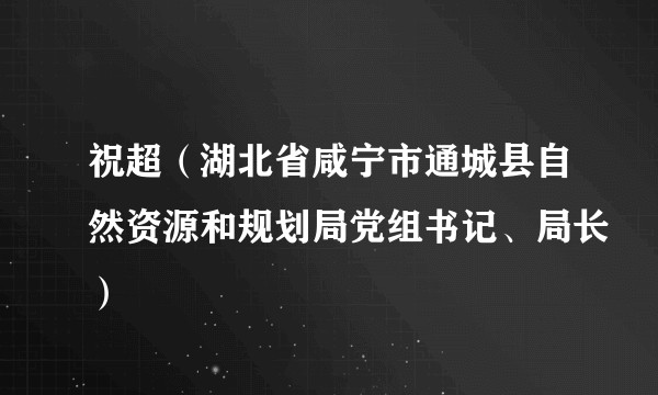 祝超（湖北省咸宁市通城县自然资源和规划局党组书记、局长）