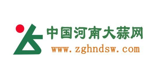 中国河南大蒜网