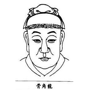 龙角骨