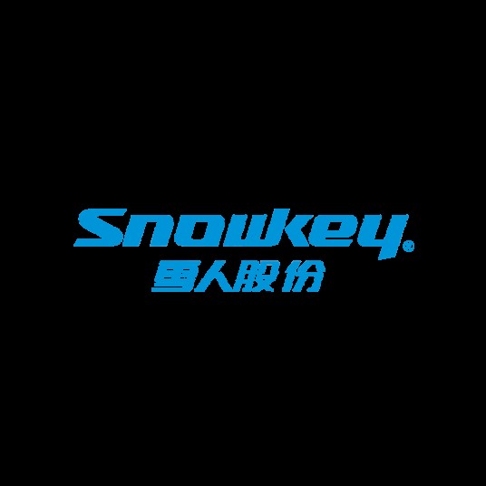 福建雪人集团股份有限公司