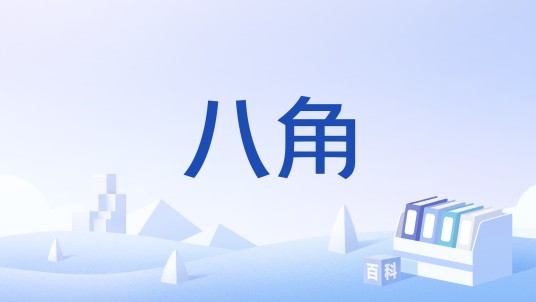 八角（中国国家标准《八角》）