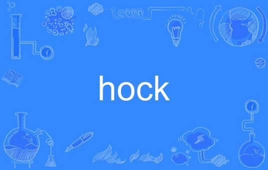 hock