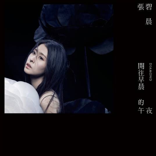 开往早晨的午夜（2016年张碧晨演唱的流行歌曲）