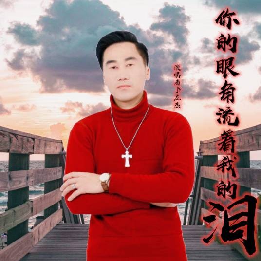 你的眼角流着我的泪（2020年庄杰琼演唱的歌曲）